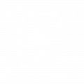icono scans